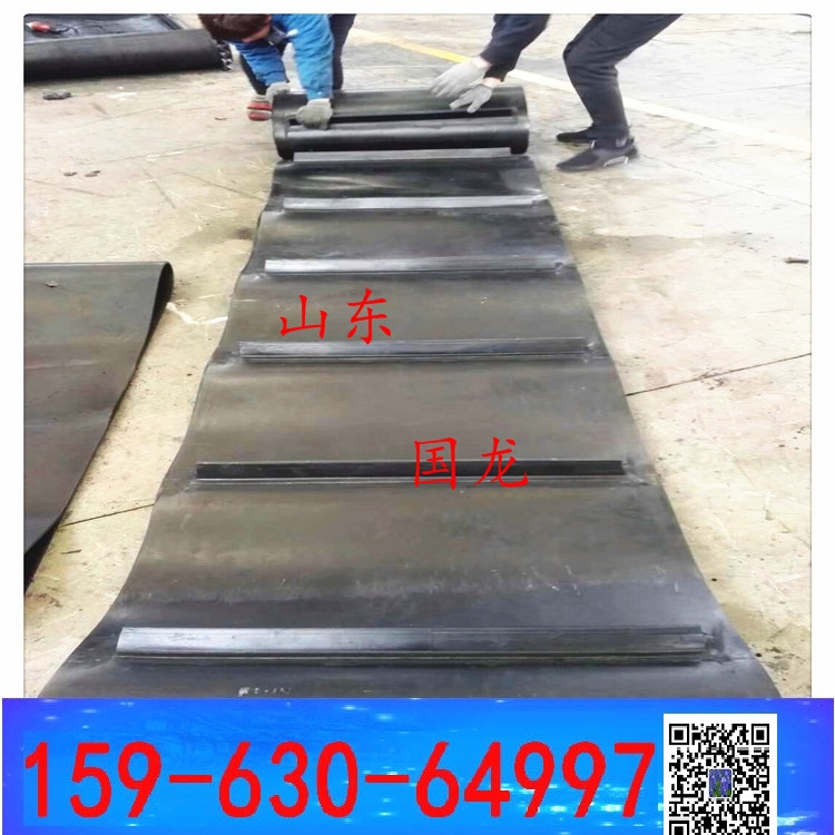 環形帶 除鐵器棄鐵皮帶b800x14900mm  月落星沉，日出東海。